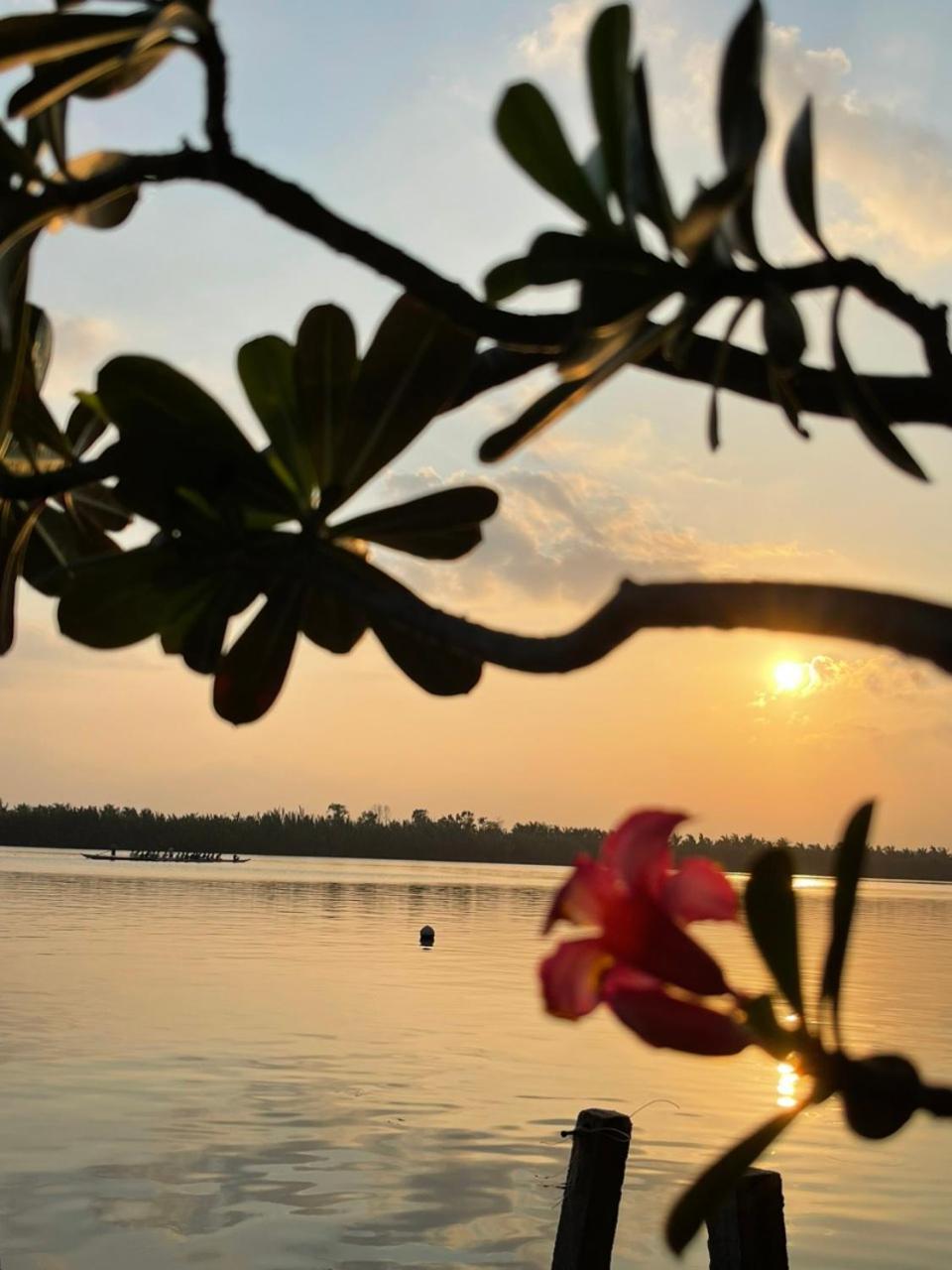 Coral Riverside Homestay & Hostel Хойан Экстерьер фото