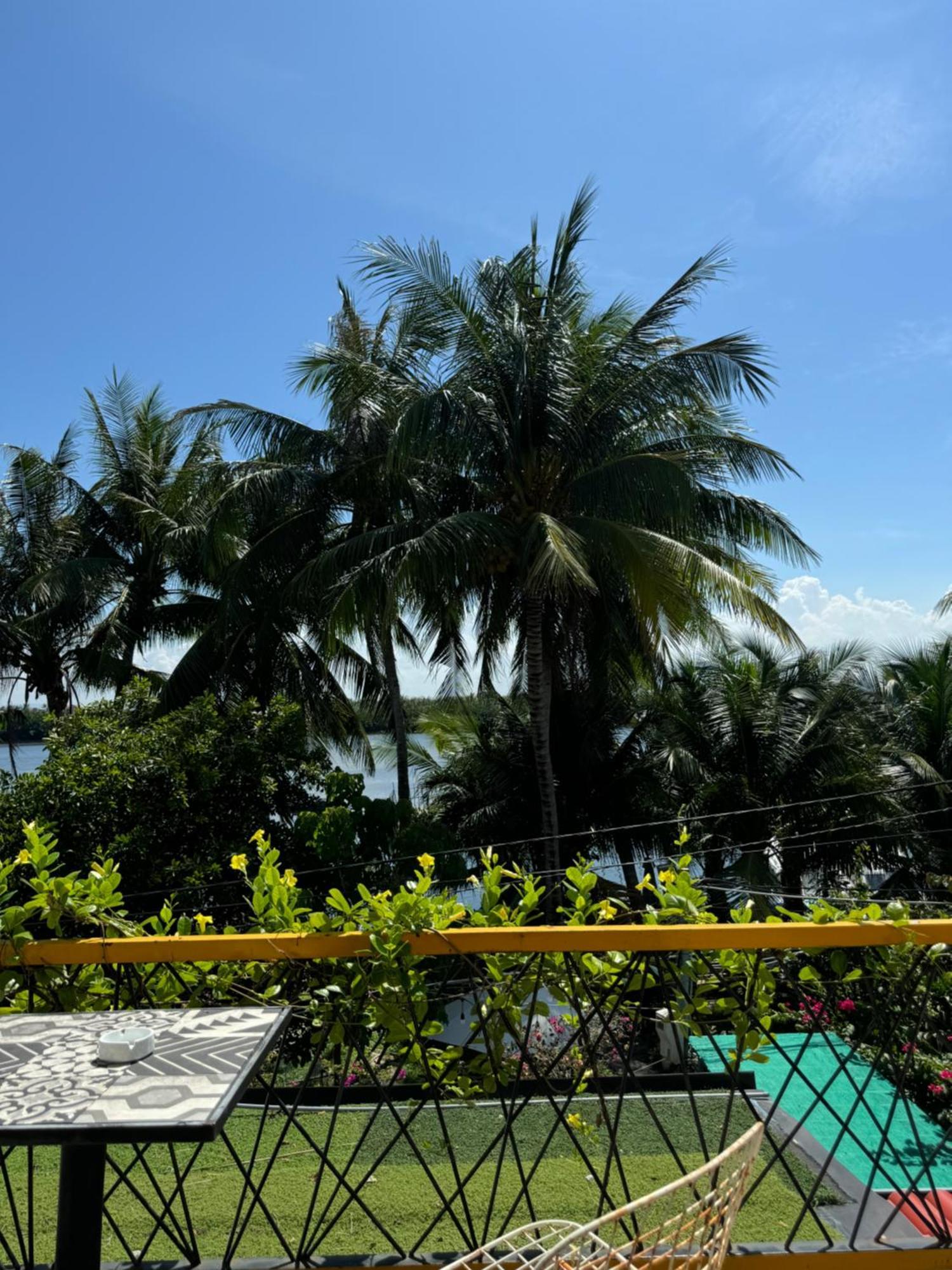 Coral Riverside Homestay & Hostel Хойан Экстерьер фото